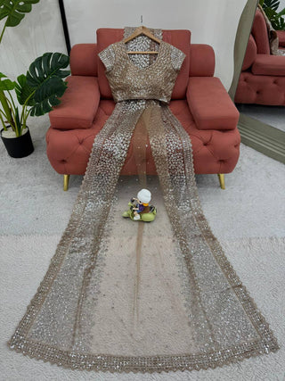 Brown Sequined Saree With Lace Trim